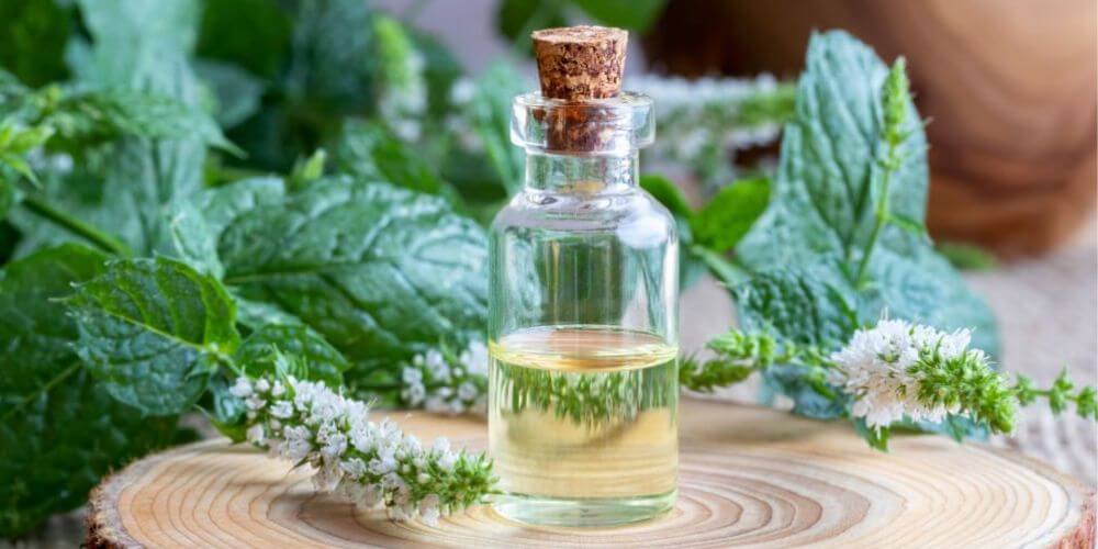 Peppermint Essential Oil for Migraine